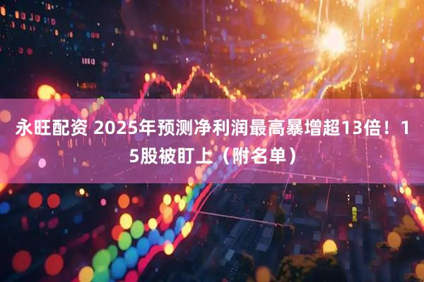 永旺配资 2025年预测净利润最高暴增超13倍！15股被盯上（附名单）
