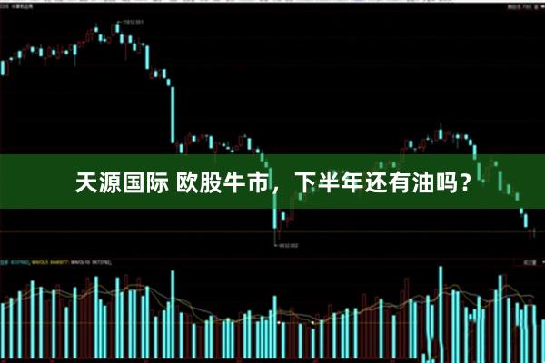天源国际 欧股牛市，下半年还有油吗？