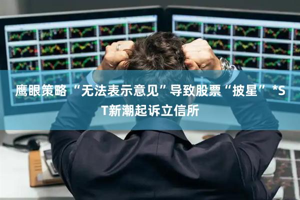 鹰眼策略 “无法表示意见”导致股票“披星” *ST新潮起诉立信所